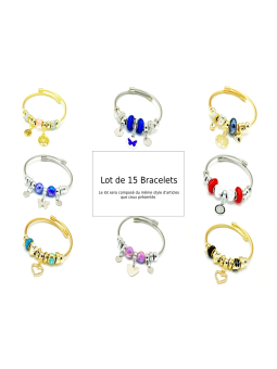 Lot 15 Bracelets charms -...