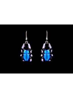 Boucles d'oreilles...