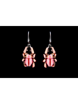 Boucles d'oreilles...