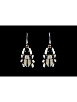 Boucles d'oreilles...