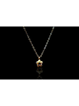 Collier Acier Inoxydable CGCMKTPD0511-049