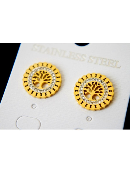 Boucles d'oreilles Acier Inoxydable BOGCMKTPD0513-009