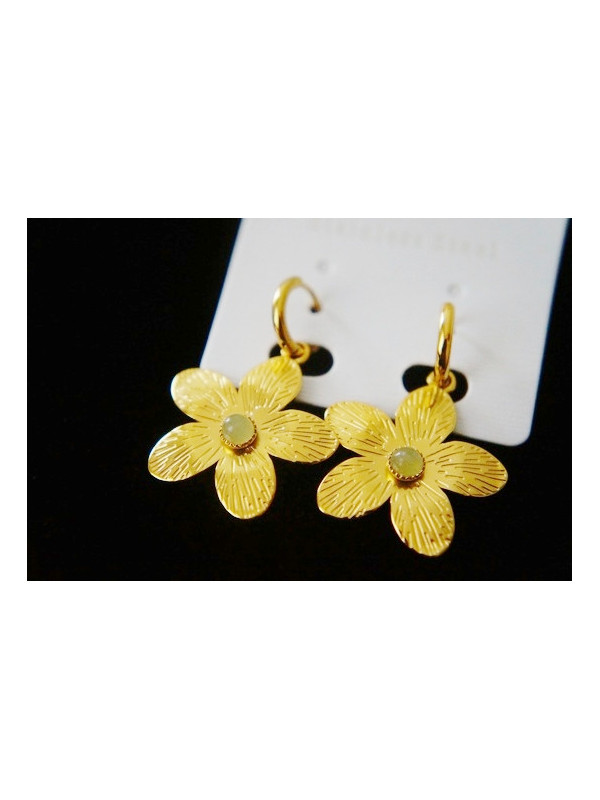 Boucles d'oreilles Acier Inoxydable BOGCMKTPD0513-018