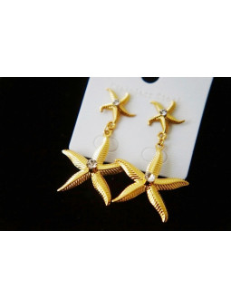 Boucles d'oreilles Acier Inoxydable BOGCMKTPD0513-020