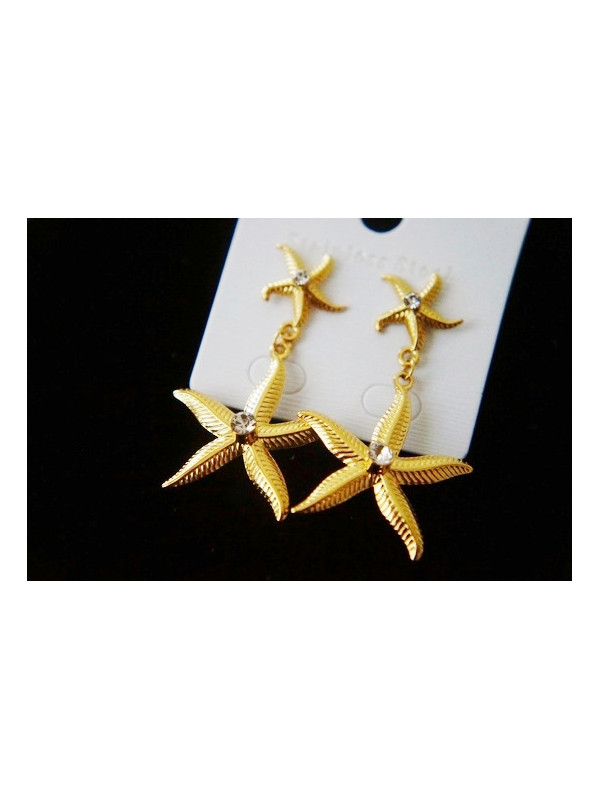 Boucles d'oreilles Acier Inoxydable BOGCMKTPD0513-020