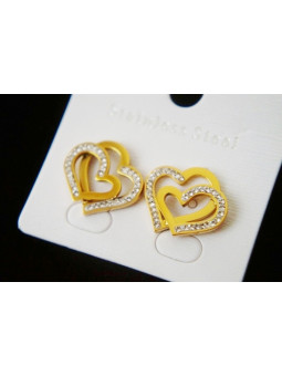 Boucles d'oreilles Acier Inoxydable BOGCMKTPD0513-021