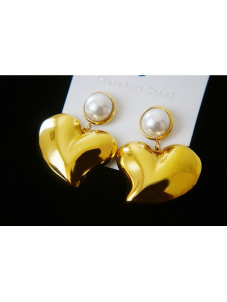 Boucles d'oreilles Acier Inoxydable BOGCMKTPD0513-034