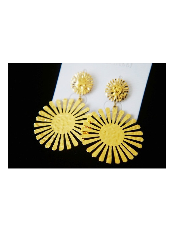 Boucles d'oreilles Acier Inoxydable BOGCMKTPD0513-036