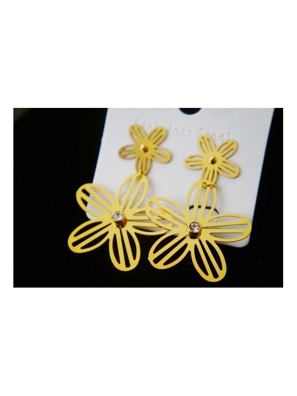 Boucles d'oreilles Acier Inoxydable BOGCMKTPD0513-043