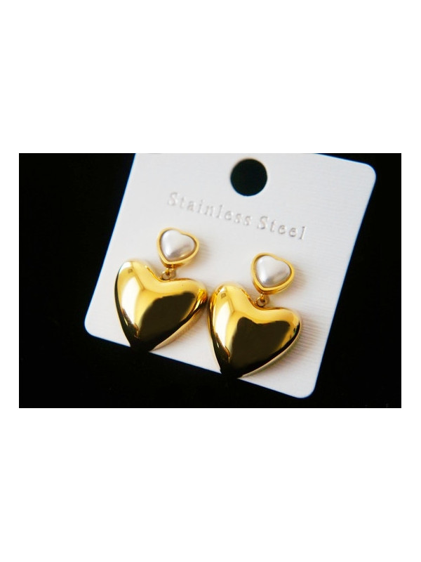 Boucles d'oreilles Acier Inoxydable BOGCMKTPD0513-056