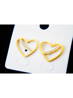 Boucles d'oreilles Acier Inoxydable BOGCMKTPD0513-061