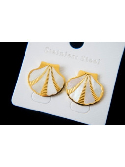 Boucles d'oreilles Acier Inoxydable BOGCMKTPD0513-064