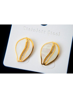 Boucles d'oreilles Acier Inoxydable BOGCMKTPD0513-066