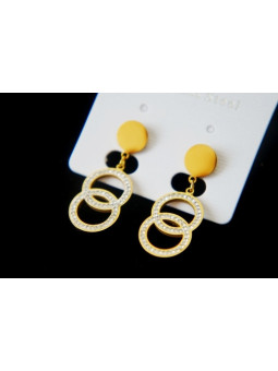 Boucles d'oreilles Acier Inoxydable BOGCMKTPD0513-068
