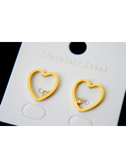 Boucles d'oreilles Acier Inoxydable BOGCMKTPD0513-079