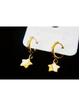 Boucles d'oreilles Acier Inoxydable BOGCMKTPD0513-088