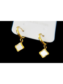 Boucles d'oreilles Acier Inoxydable BOGCMKTPD0513-093