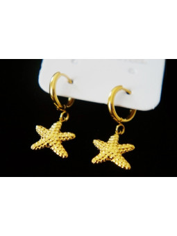 Boucles d'oreilles Acier Inoxydable BOGCMKTPD0513-094