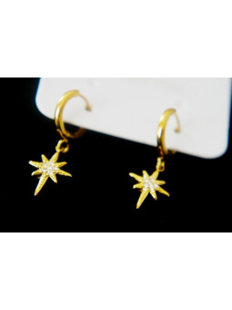 Boucles d'oreilles Acier Inoxydable BOGCMKTPD0513-095