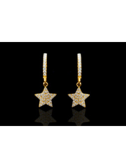 Boucles d'oreilles Acier Inoxydable BOGCMKTPD0513-106