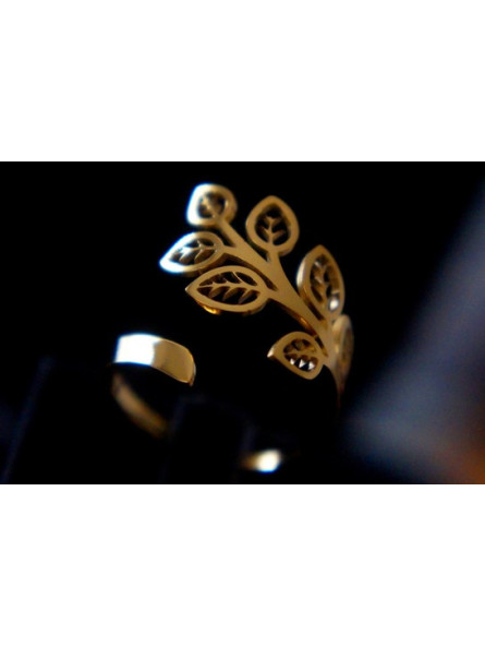 Bague Acier Inoxydable BAGCMKTPD0524-008