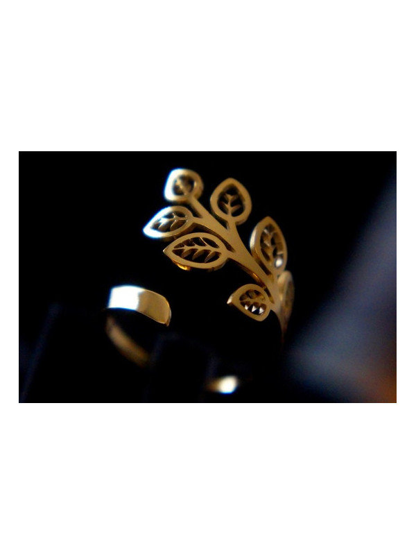 Bague Acier Inoxydable BAGCMKTPD0524-008