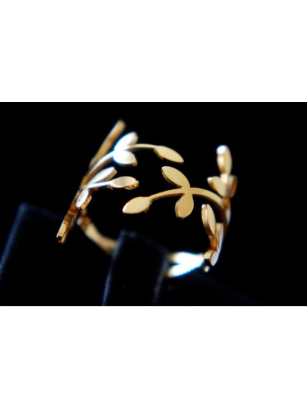 Bague Acier Inoxydable BAGCMKTPD0524-011