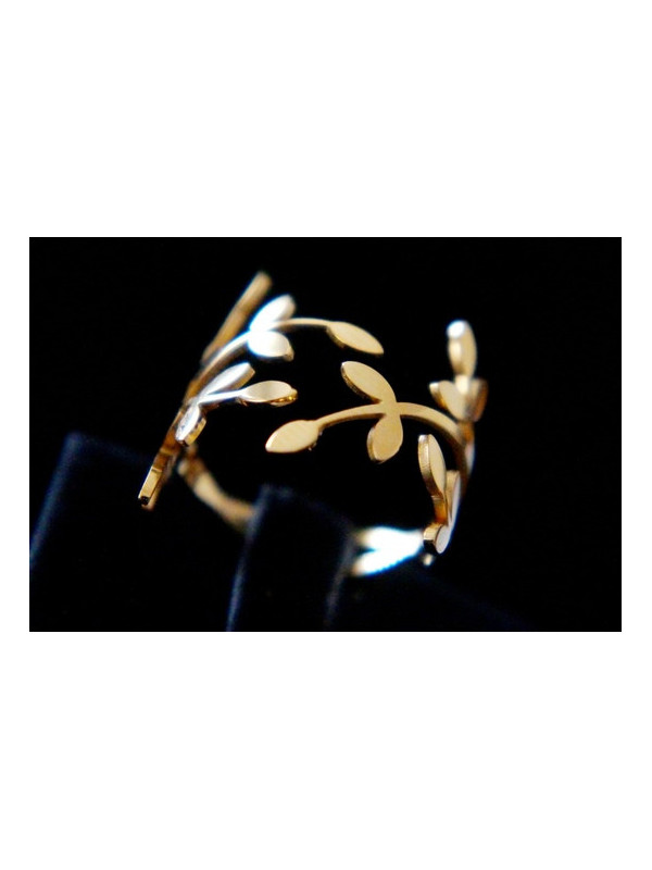 Bague Acier Inoxydable BAGCMKTPD0524-011