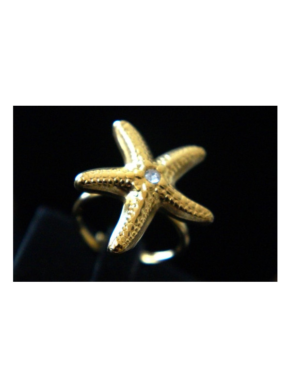 Bague Acier Inoxydable BAGCMKTPD0524-015