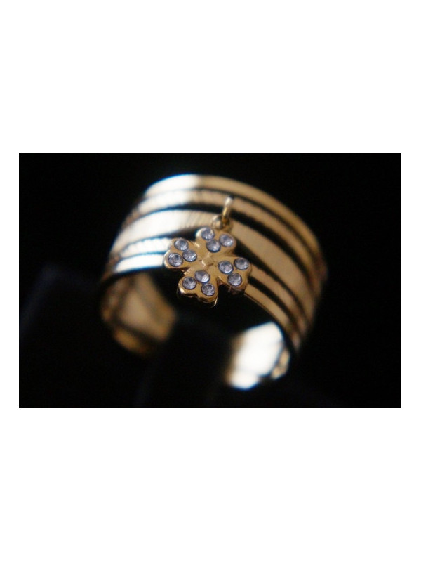 Bague Acier Inoxydable BAGCMKTPD0524-019