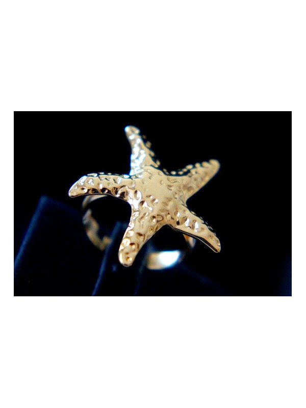 Bague Acier Inoxydable BAGCMKTPD0524-066