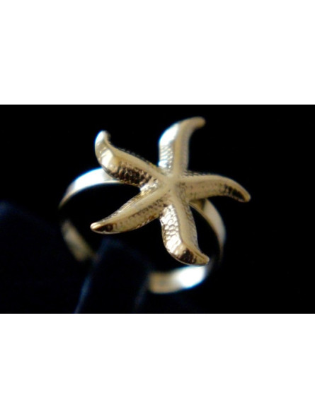 Bague Acier Inoxydable BAGCMKTPD0524-087