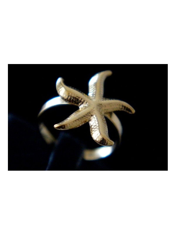 Bague Acier Inoxydable BAGCMKTPD0524-087