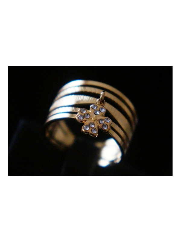 Bague Acier Inoxydable BAGCMKTPD0524-109