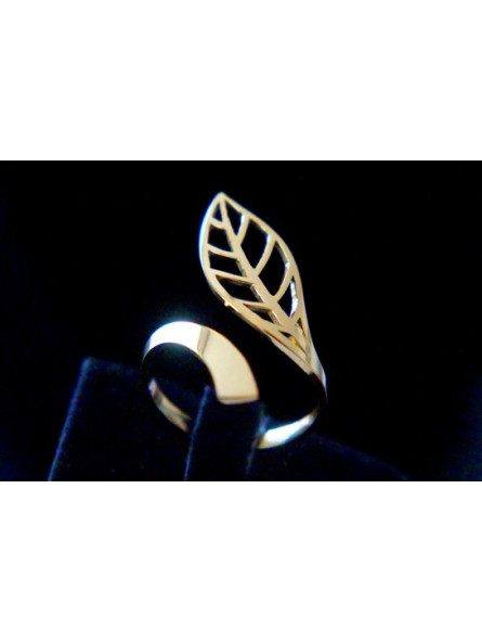 Bague Acier Inoxydable BAGCMKTPD0524-114