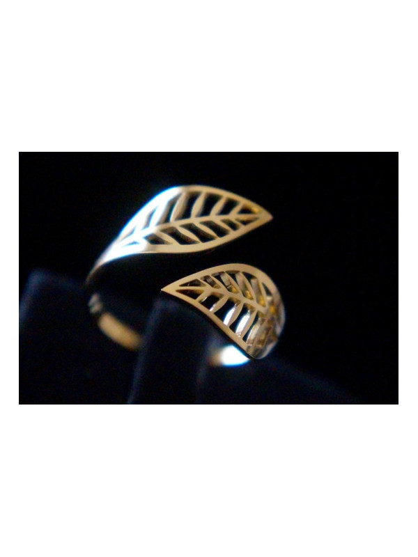 Bague Acier Inoxydable BAGCMKTPD0524-136