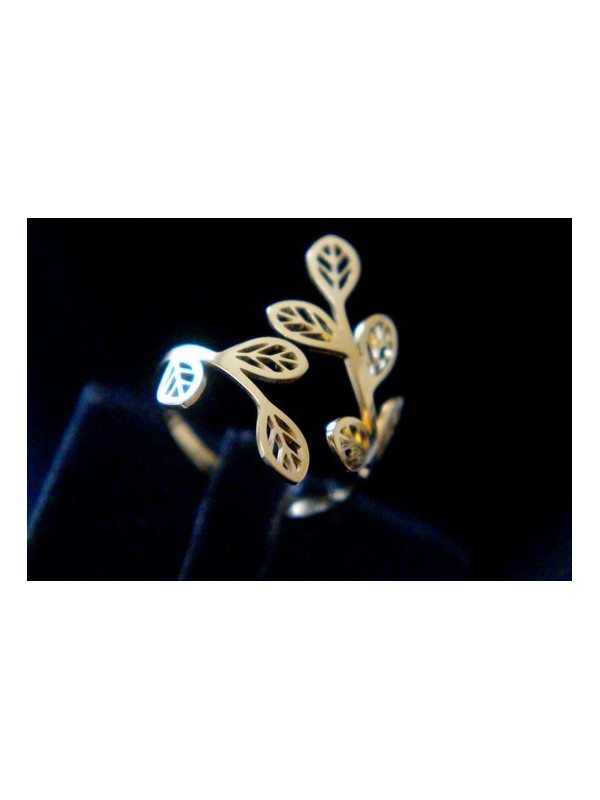 Bague Acier Inoxydable BAGCMKTPD0524-142